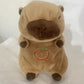 Soothing breathing Koala newborn baby sound and light soothing doll, lullab-down magic tool, early education story machine, music toy